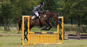Honnnington Farm Livery Yard Riding Showjumping