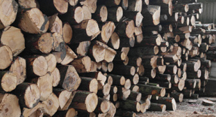 Logs for Sale Honnington Farms