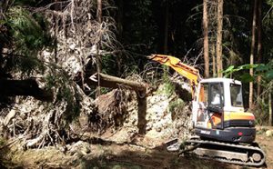 Honnington Machinery for Hire Logging Forestry
