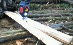Forestry Services Honnington Farm Splitter