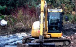 Forestry Services Honnington Farm