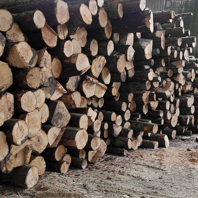 Honnington Dry Stored Logs for Sale Seasoned