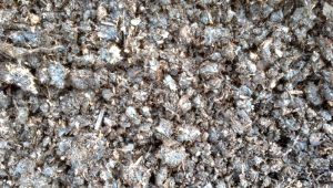 Honnington Manure for Sale Gardening Product