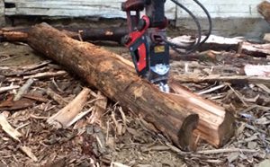 Honnington Machinery for Hire Logging Forestry