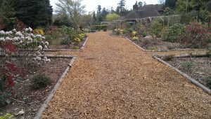 Woodchip for Sale
